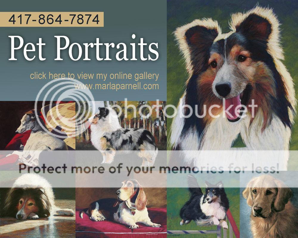 Craigslist Pet Portraits Ad (c) marlaparnell pet