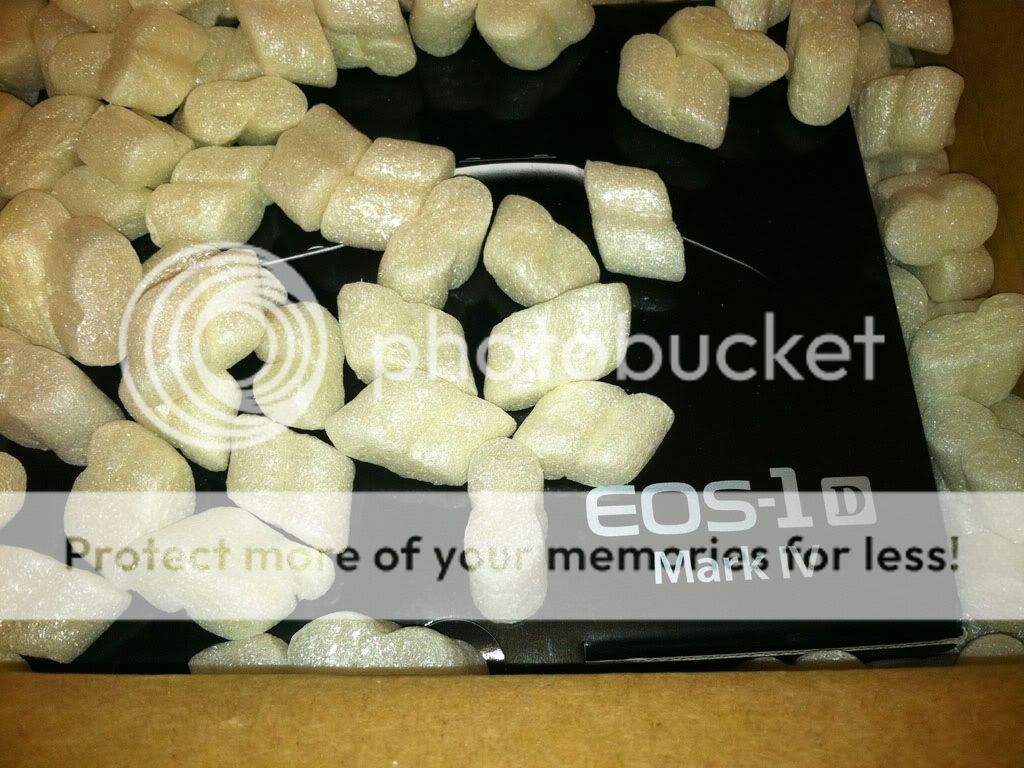 IMAGE: http://i889.photobucket.com/albums/ac91/MARK_9328/Canon%20Forums/1D_MKIV.jpg