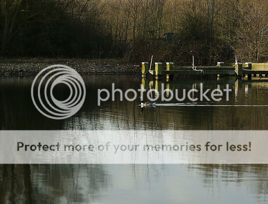 Fotografie