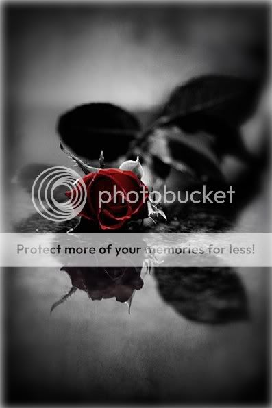 Rose with Sad photo: sad rose vvv.jpg