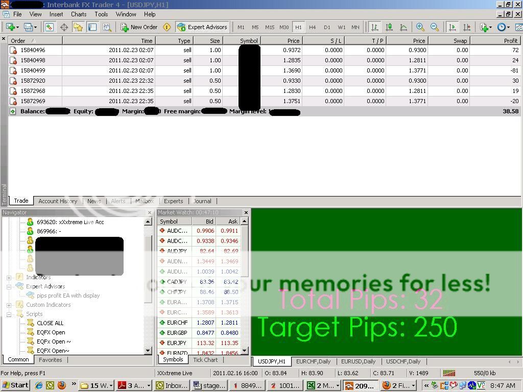 Teknik kuda forex