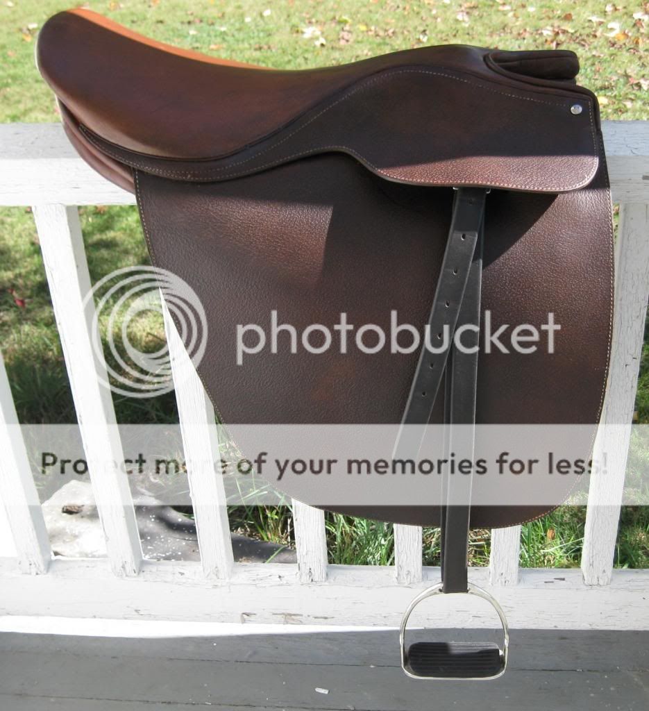 Saddleseat cutback saddle 21" Rossi Caruso, excellent cond. The Horse Forum