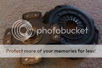 http://i889.photobucket.com/albums/ac96/fv8s/100MEDIA_IMAG0128.jpg