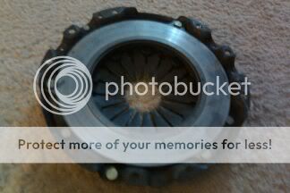 http://i889.photobucket.com/albums/ac96/fv8s/100MEDIA_IMAG0130.jpg