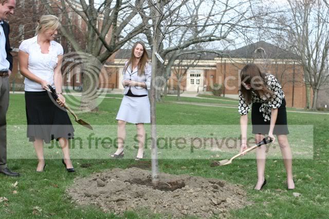 Liberty Tree Planting Image
