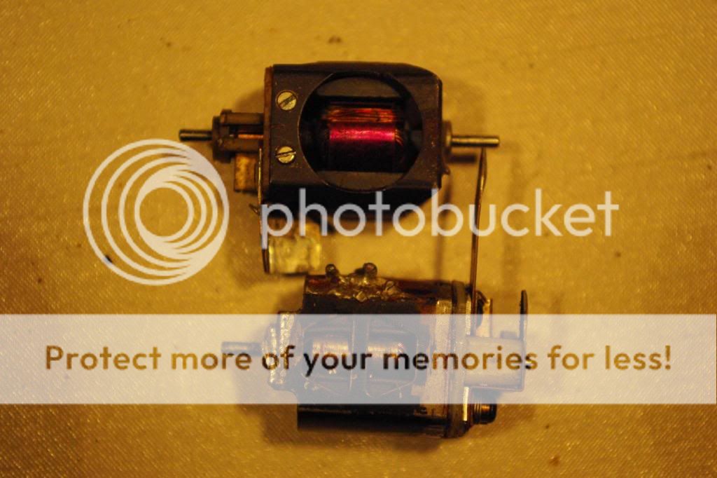 IMGP0125.jpg