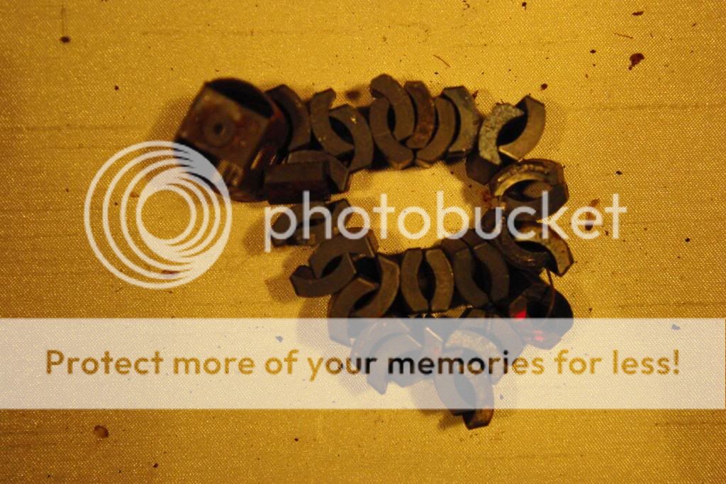 IMGP0131.jpg