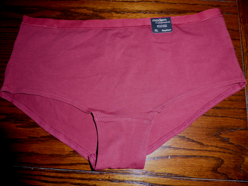 NWT MODERN MOVEMENT COTTON //SPNDX SEAMLESS HIPSTER PANTIES Y22UM135 LAV S M L XL